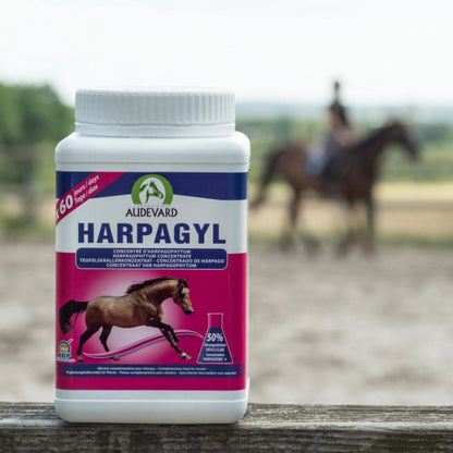 Bote de Harpagyl Audevard harpagofito para caballos en una pista de arena con un jinete al fondo