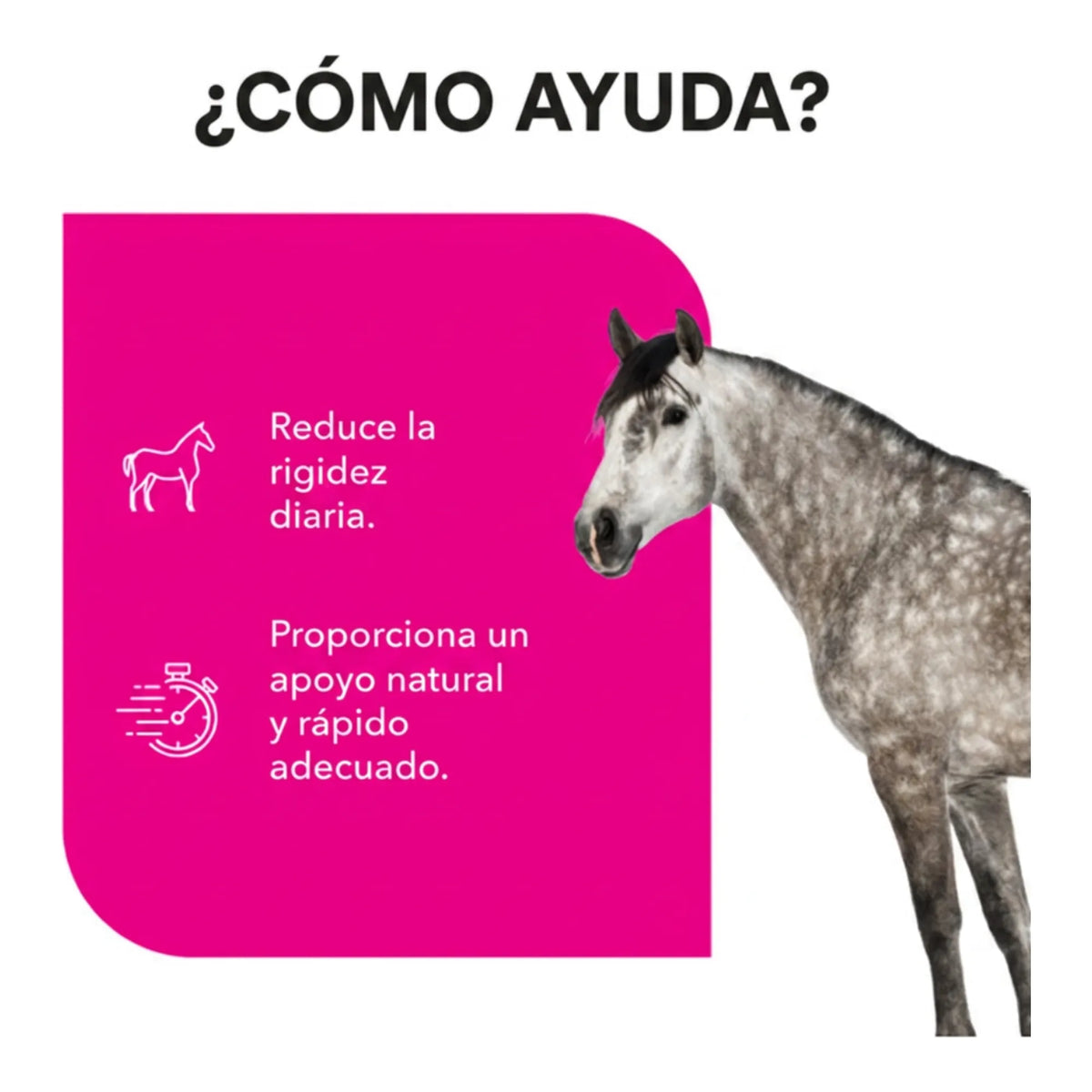Infografía sobre cómo ayuda a reducir la sensación de rigidez del caballo con apoyo natural