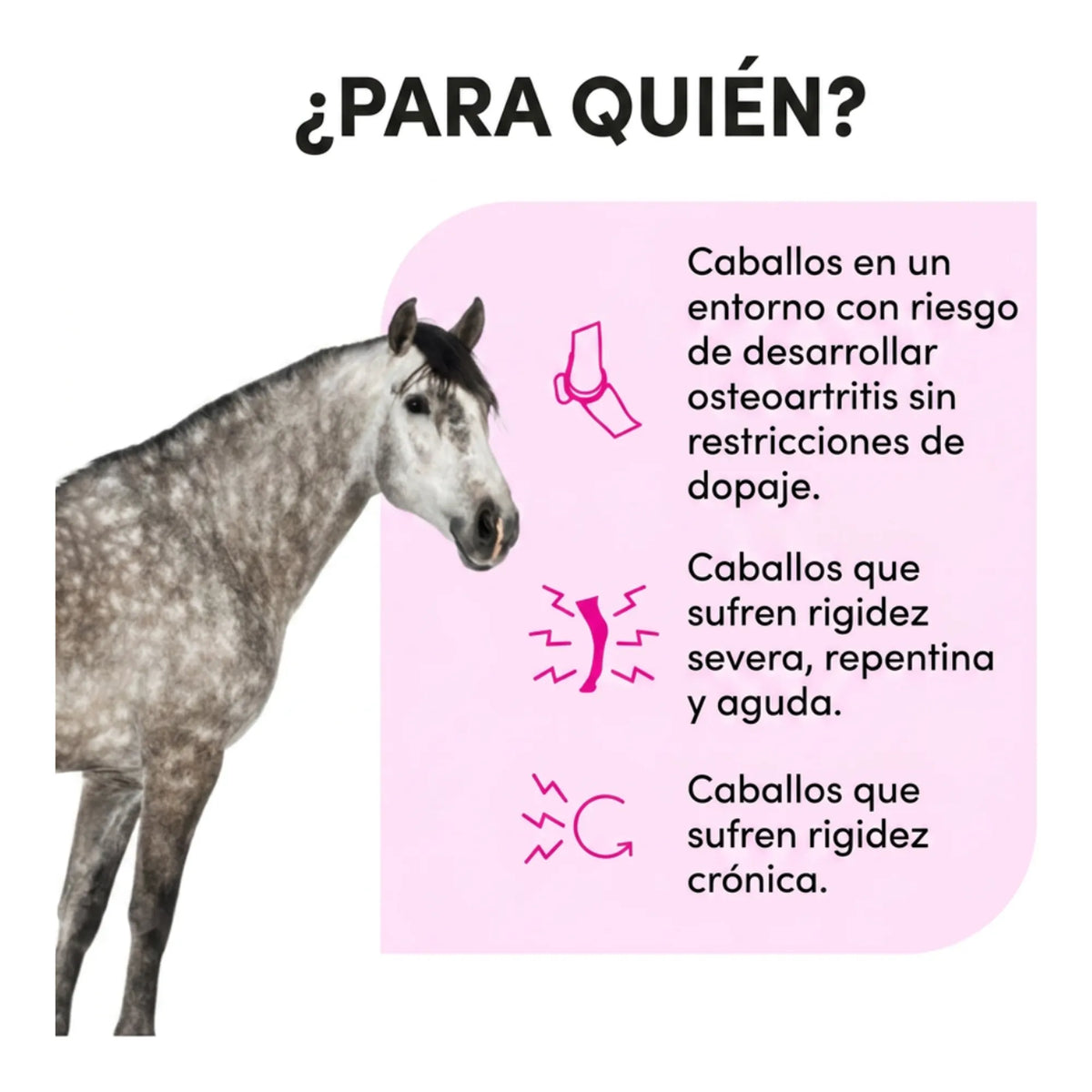 Infografía de para qué caballos se usa: con rigidez aguda o crónica y sin restricciones antidopaje