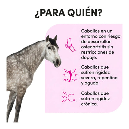Infografía de para qué caballos se usa: con rigidez aguda o crónica y sin restricciones antidopaje
