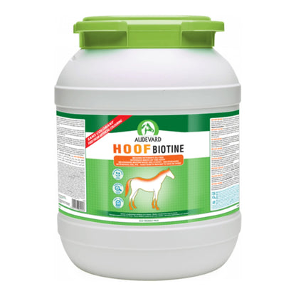 Hoof Biotine Audevard para caballos, bote blanco redondo con tapa verde