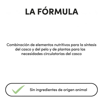 Infografía de la fórmula, sin ingredientes de origen animal