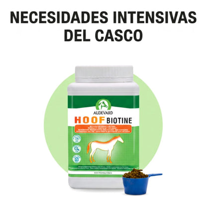 Infografía de necesidades intensivas del casco con el bote de Hoof Biotine