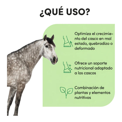 Infografía de usos de Hoof Biotine Audevard para caballos, con caballo gris