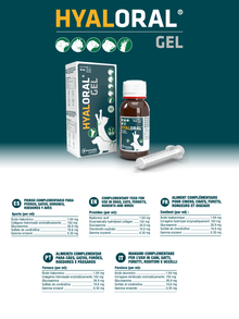 Ficha técnica oficial de Hyaloral Gel con la composición por mililitro