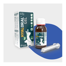 Envase y estuche de Hyaloral Gel para cachorros y gatos de Pharmadiet con jeringa dosificadora, 50 ml, EAN 8414042003851