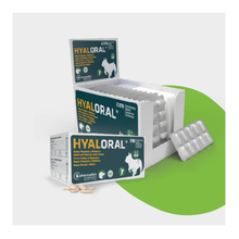 Estuche de Hyaloral comprimidos para perros de razas pequeñas y medianas de Pharmadiet, 90 comprimidos, EAN 8437002582883