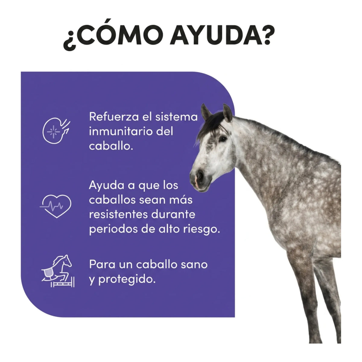 Infografía sobre cómo ayuda al sistema inmunitario del caballo en periodos de riesgo