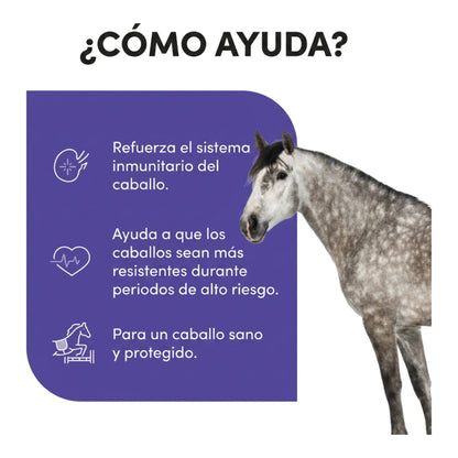 Infografía sobre cómo ayuda al sistema inmunitario del caballo en periodos de riesgo