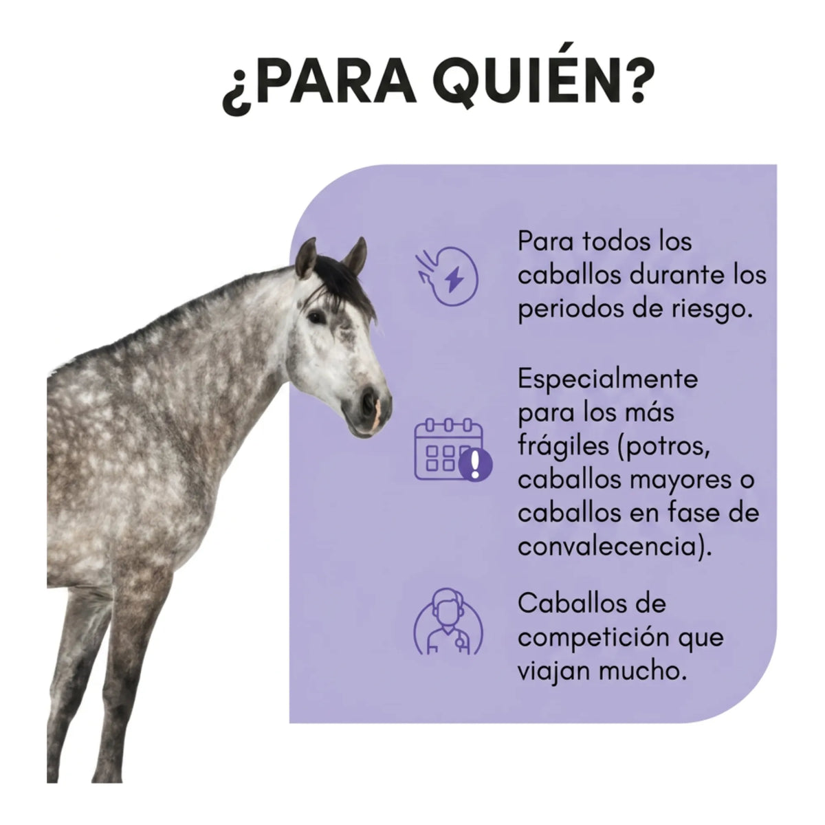 Infografía de para qué caballos se usa: potros, caballos mayores y caballos que viajan mucho
