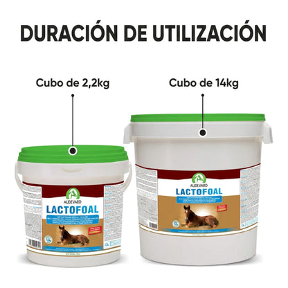 Infografía de duración de los cubos de 2,2 y 14 kilos de Lactofoal