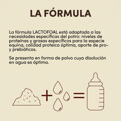 Infografía de la fórmula de Lactofoal, polvo que se disuelve en agua