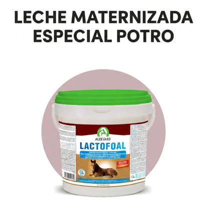 Infografía de la leche maternizada especial potro con el cubo de Lactofoal