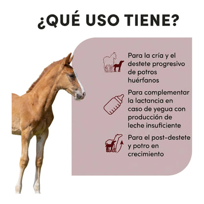 Infografía de usos de Lactofoal para potros huérfanos y destete, con potro