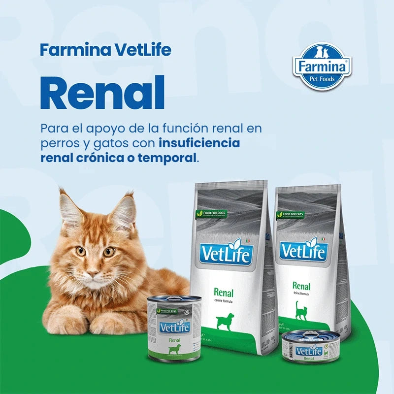 Lámina de Farmina Vet Life Renal con un gato, dos bolsas y dos latas de la gama, para perros y gatos con insuficiencia renal crónica o temporal