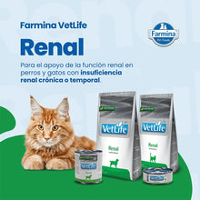 Lámina de Farmina Vet Life Renal con un gato, dos bolsas y dos latas de la gama, para perros y gatos con insuficiencia renal crónica o temporal