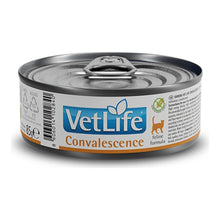 Comida húmeda Farmina Vet Life Convalescence para gatos, caja de 12 latas de 85 g, EAN 8606014103984