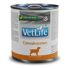 Comida húmeda Farmina Vet Life Convalescence para perros, caja de 6 latas de 300 g, EAN 8606014103922