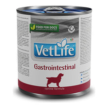 Comida húmeda Farmina Vet Life Gastrointestinal para perros, caja de 6 latas de 300 g, EAN 8606014103939