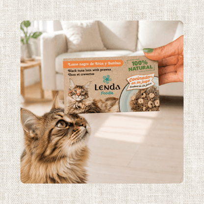 Gato mirando el envase de Lenda Foodie atún con gambas para gatos, EAN 18435578290024
