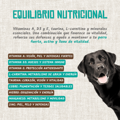 Vitaminas, taurina y oligoelementos del estofado de pavo y caballo, EAN 18435578201235