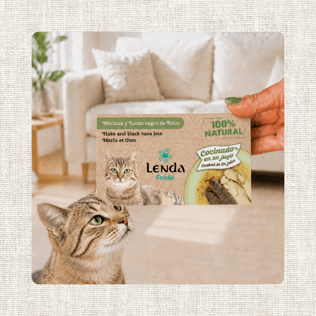 Gato olfateando el envase de Lenda Foodie merluza y atún para gatos, EAN 18435578290017