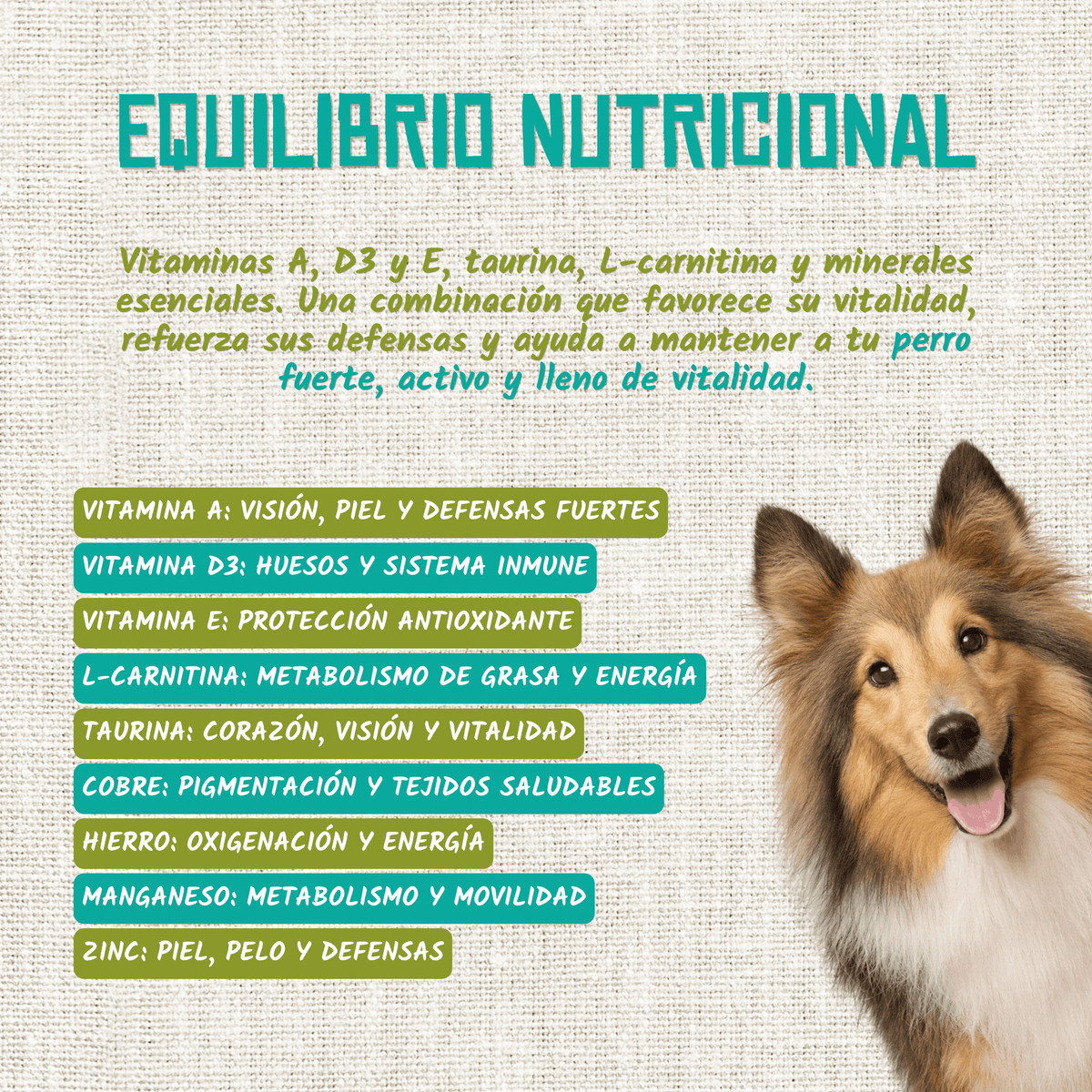 Vitaminas, taurina y oligoelementos del guiso de salmón y arenque, EAN 18435578201198