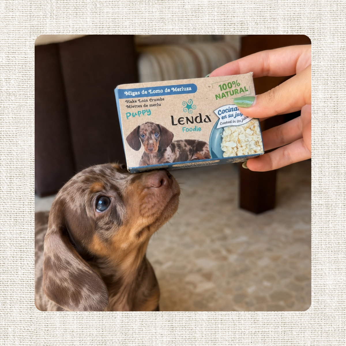 Cachorro oliendo un envase de la receta de merluza, EAN 18435578290086