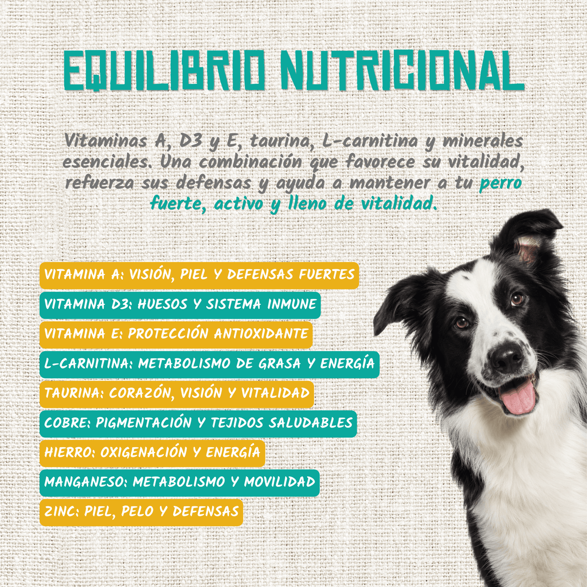 Vitaminas, taurina y oligoelementos del guiso de pato y conejo, EAN 18435578201228