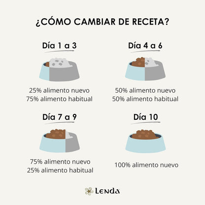 Infografía de Lenda que explica cómo cambiar de receta de pienso a Lenda Lamb Adult Medium en diez días combinando alimento habitual y nuevo