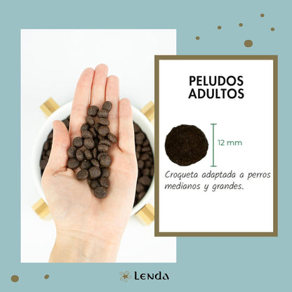 Mano sosteniendo croquetas de pienso Lenda Lamb Adult Medium con detalle de croqueta de 12 mm para perros medianos y grandes
