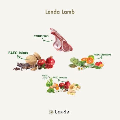 Ilustración de los ingredientes funcionales de Lenda Lamb Adult Medium para perros como carne de cordero y complejos FAEC Joints, Digestive e Immune con frutas y verduras
