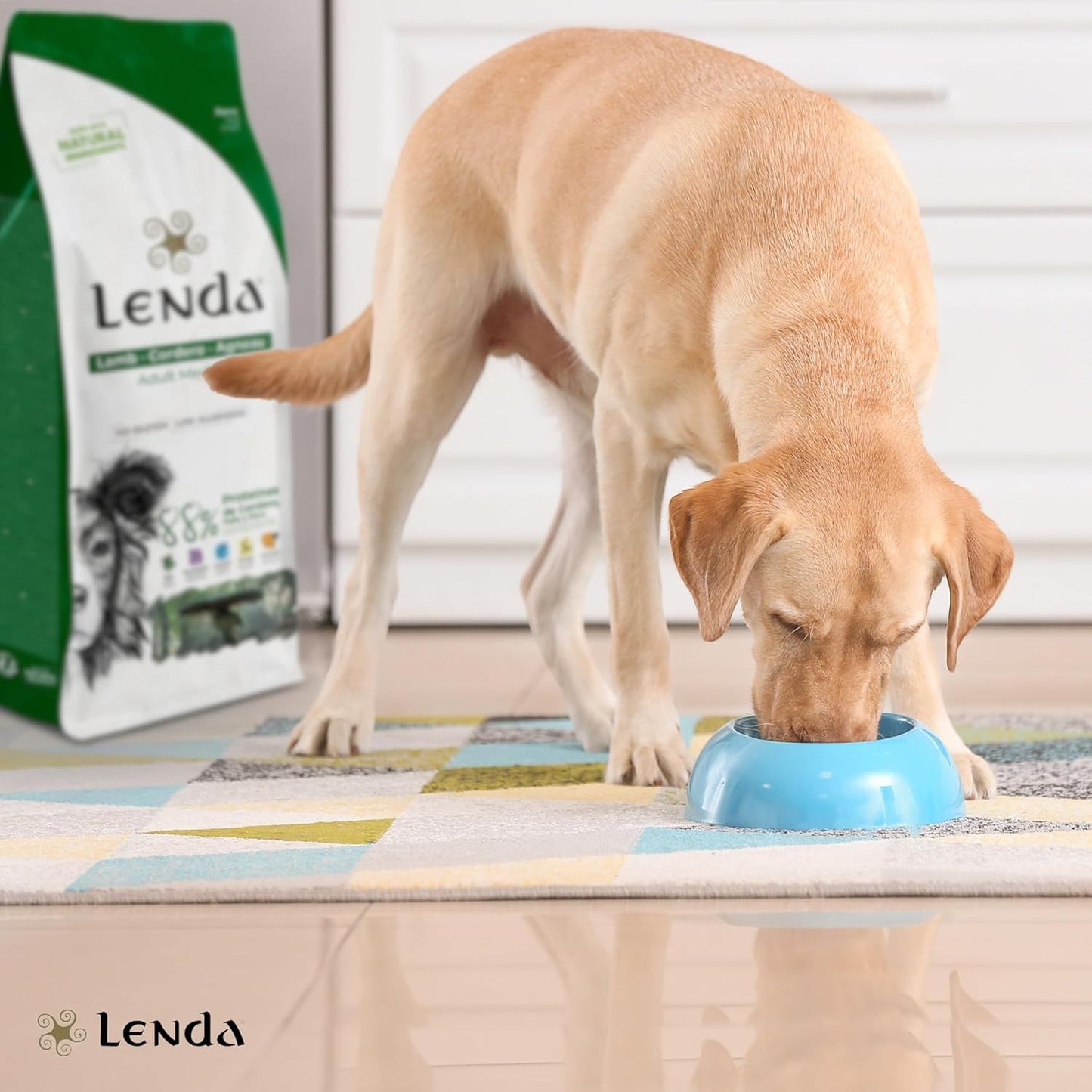 Perro adulto comiendo de un cuenco azul en casa con un saco de pienso Lenda Lamb Adult Medium al fondo