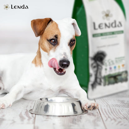 Perro pequeño lamiéndose el hocico junto a un comedero metálico vacío y un saco de pienso Lenda Lamb Adult Medium al fondo