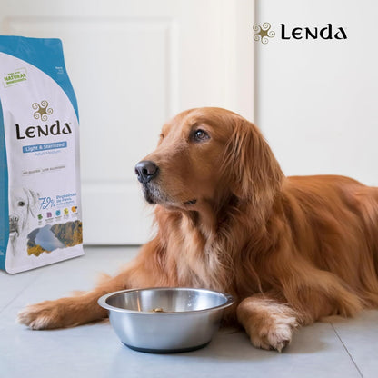 Perro adulto tumbado junto a su comedero de pienso con un saco Lenda Light & Sterilized Adult Medium al fondo