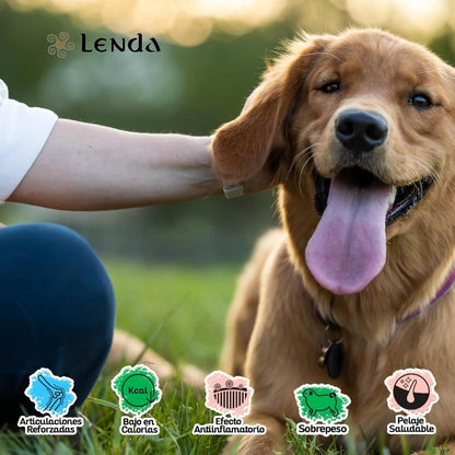 Perro adulto de raza grande en la hierba junto a iconos que destacan los beneficios del pienso Lenda Light & Sterilized para articulaciones, control de peso y pelaje saludable