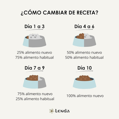 Guía visual para cambiar la alimentación al pienso Lenda Mini Meat and Fish de forma progresiva
