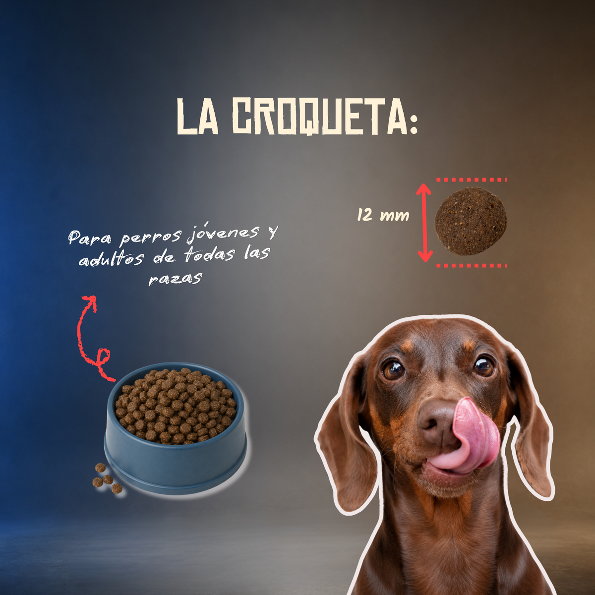 Croqueta de 12 mm del pienso monoproteico Lenda de cerdo para perros, EAN 8435578202136 y 8435578202143
