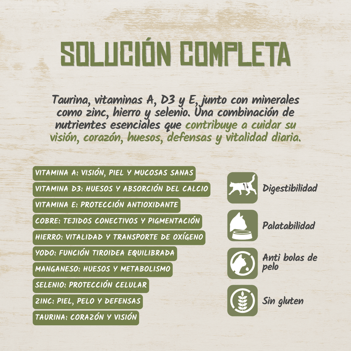 Infografía de vitaminas, minerales y taurina del paté, EAN 18435578202041