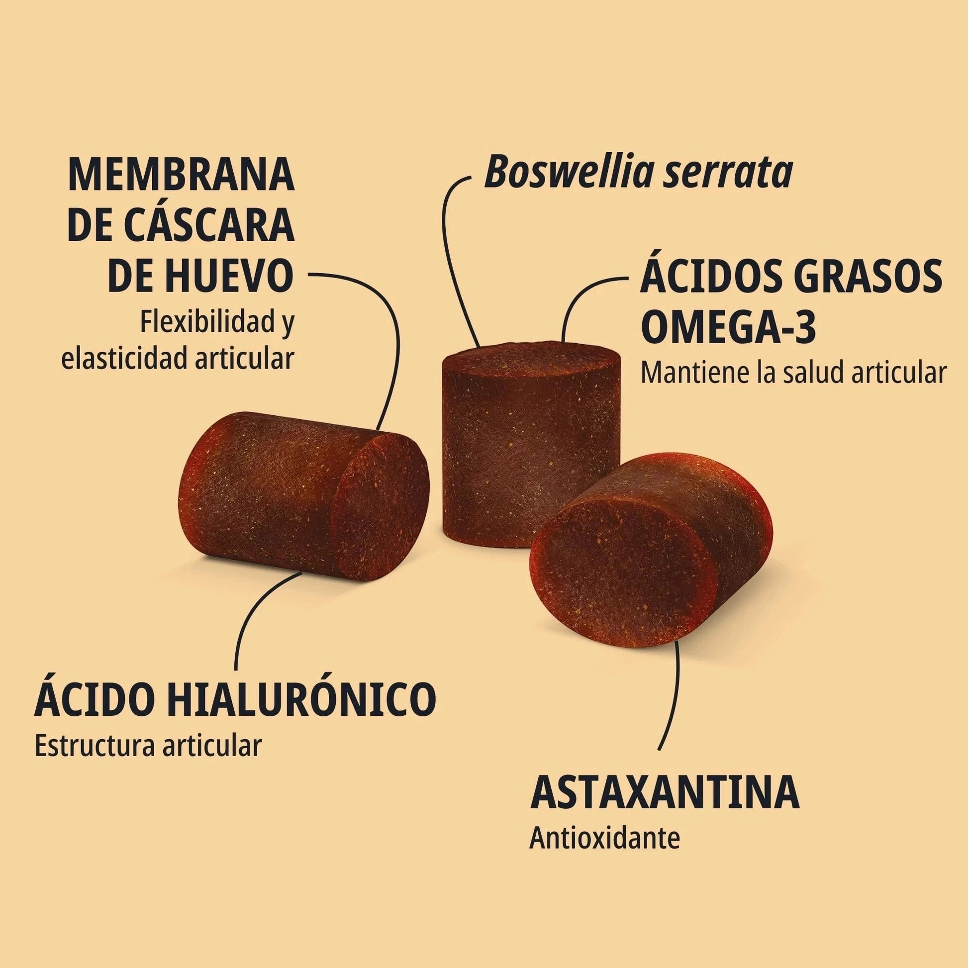 Infografía Movoflex Virbac con tres masticables sobre fondo salmón claro, señalando los cinco ingredientes activos: Membrana de cáscara de huevo para flexibilidad articular, Boswellia serrata, Ácidos grasos Omega-3 para salud articular, Ácido hialurónico para estructura articular y Astaxantina antioxidante
