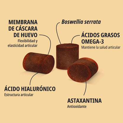 Infografía Movoflex Virbac con tres masticables sobre fondo salmón claro, señalando los cinco ingredientes activos: Membrana de cáscara de huevo para flexibilidad articular, Boswellia serrata, Ácidos grasos Omega-3 para salud articular, Ácido hialurónico para estructura articular y Astaxantina antioxidante