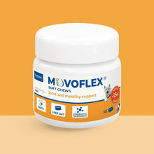 Bote Movoflex Virbac Soft Chews talla S de 30 masticables para perros pequeños de menos de 15 kg, sobre fondo naranja con perro blanco tipo Westie en la etiqueta, iconos Tasty 1 per day y Synergistic Ingredients