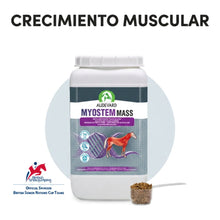 Bote de Myostem Mass Audevard para caballos con cacito y el titular de crecimiento muscular
