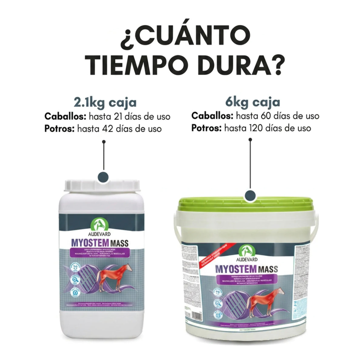 Caja de 2,1 kg y cubo de 6 kg de Myostem Mass Audevard para caballos con duración