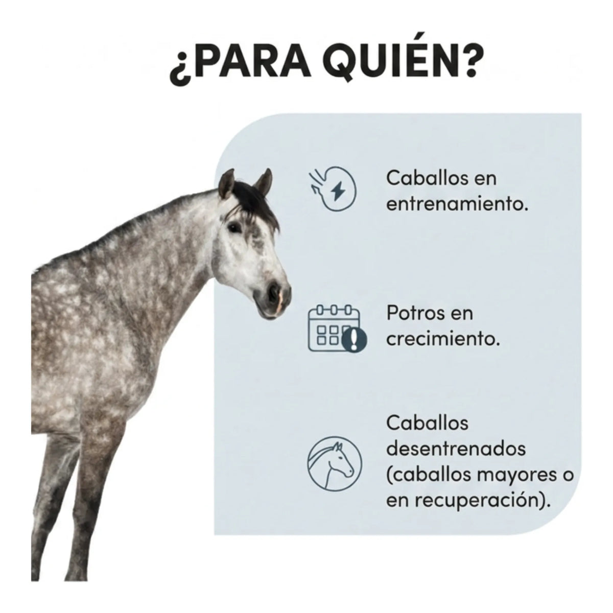 Infografía de para qué caballos se usa: en entrenamiento, potros en crecimiento y en recuperación