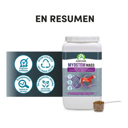 Resumen visual de Myostem Mass Audevard para caballos con cacito y sellos de calidad