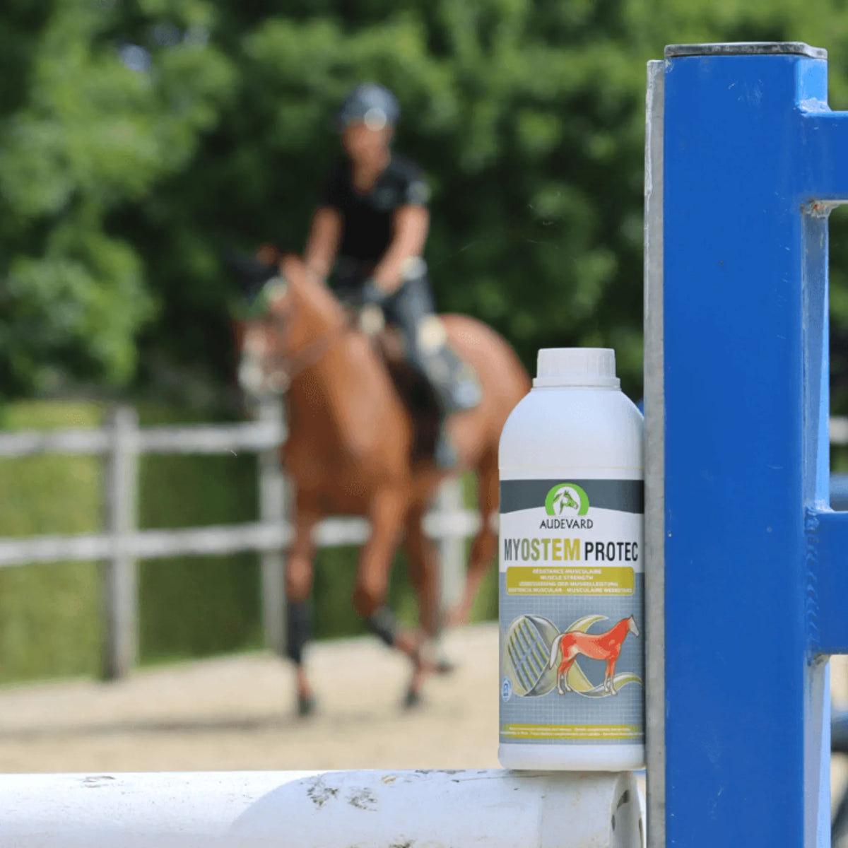 Myostem Protec Audevard para caballos, botella en primer plano con un jinete saltando al fondo