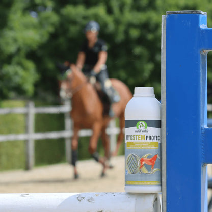Myostem Protec Audevard para caballos, botella en primer plano con un jinete saltando al fondo