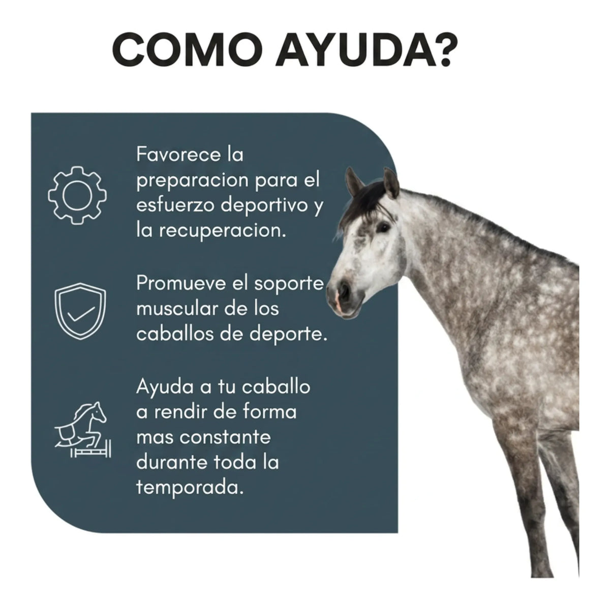 Infografía del apoyo a la musculatura en la competición, con un ejemplar tordo