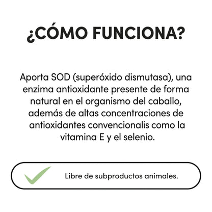 Infografía del funcionamiento de la fórmula con SOD y antioxidantes